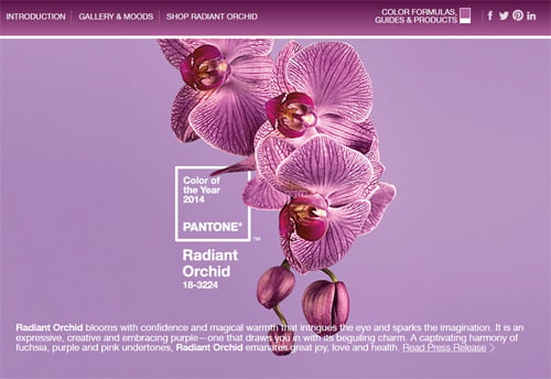 Pantone Color of the Year 2014 Radiant Orchid