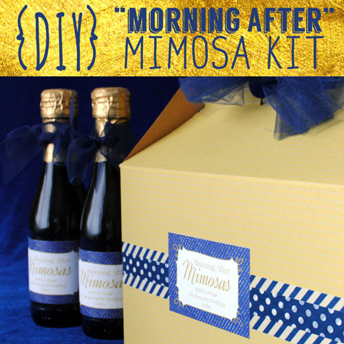 Morning After Mimosa Kits: A How-to-Guide Including Step by Step Photos