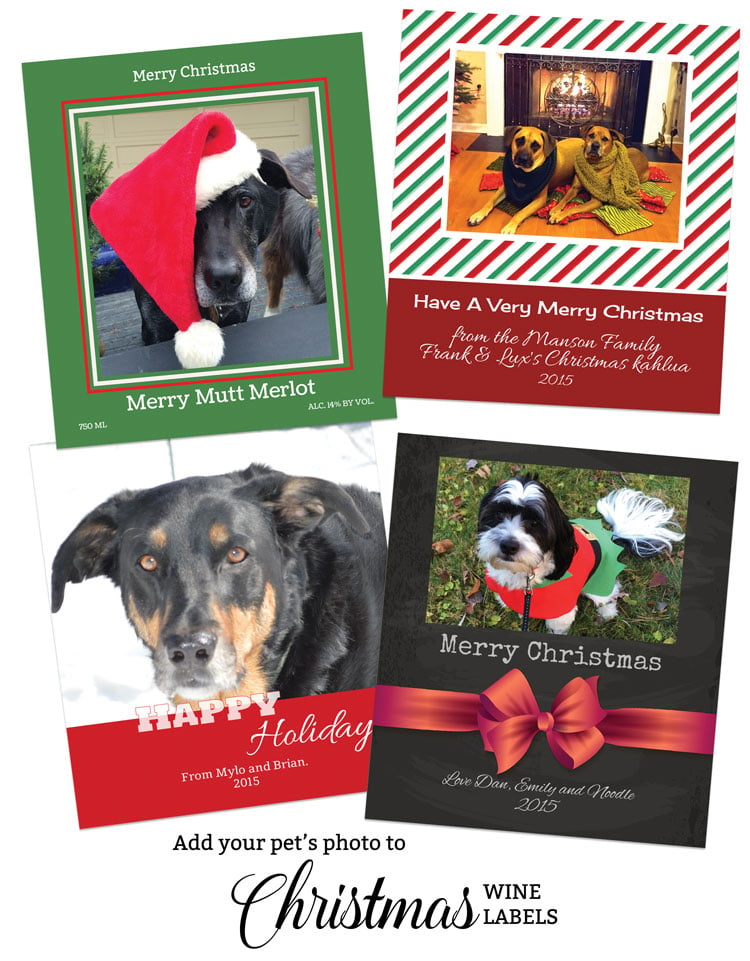 Christmas Pet Photos on Wine Labels. Put your pet's picture on a wine label or beer label.