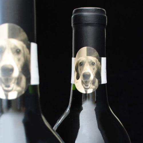 Wine bottle neck labels with photo of dog