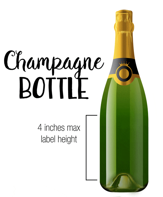 Choose the best wine label size for this wine bottle shape.