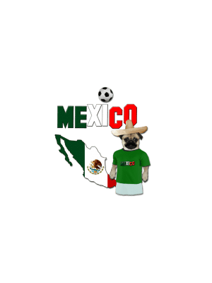 Mexico Football World Cup Pug Beer Label