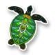 Colorful Turtle Sticker