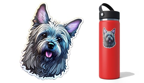 Custom Stickers Printed On Demand